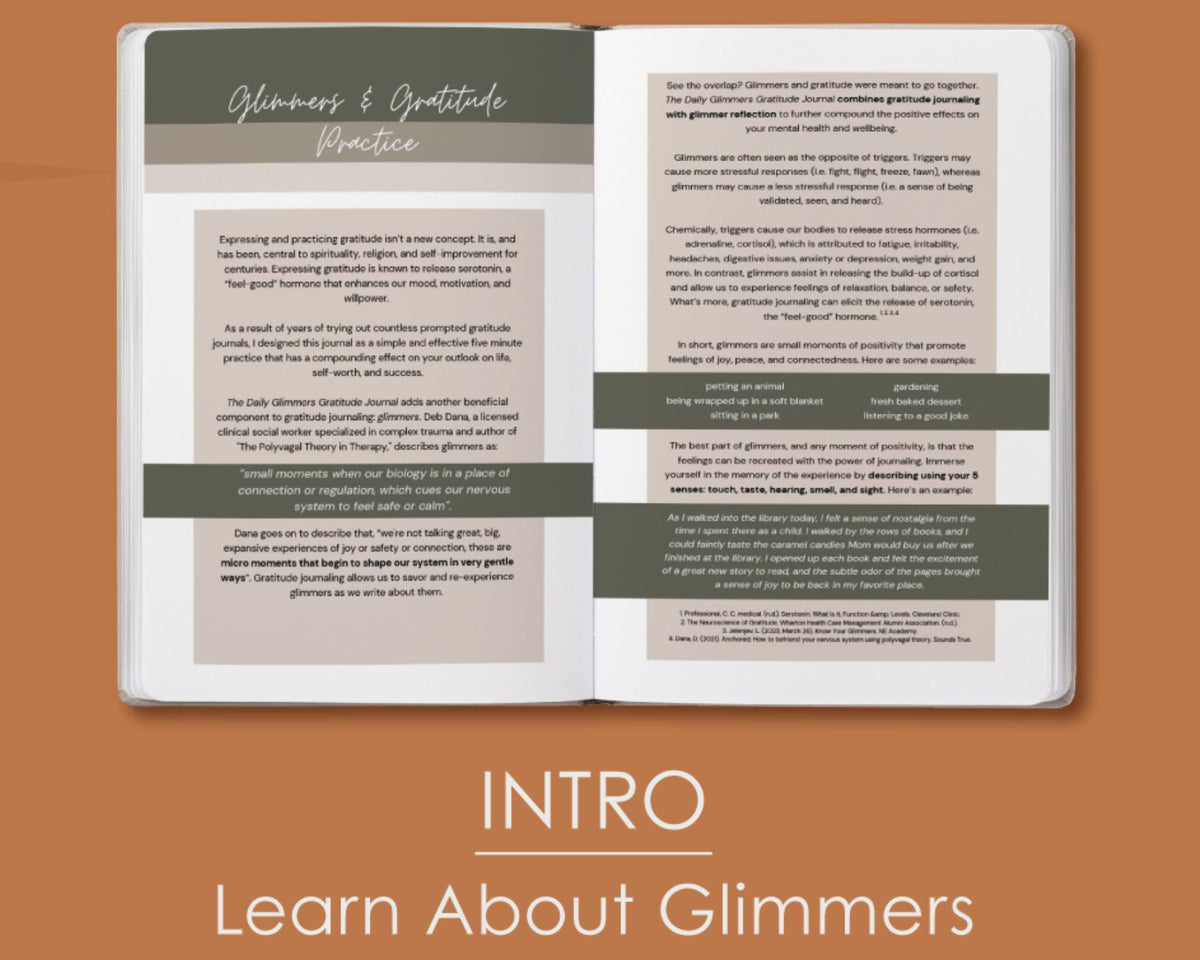 Daily Glimmers Gratitude Journal With Pen Grief Gift Set