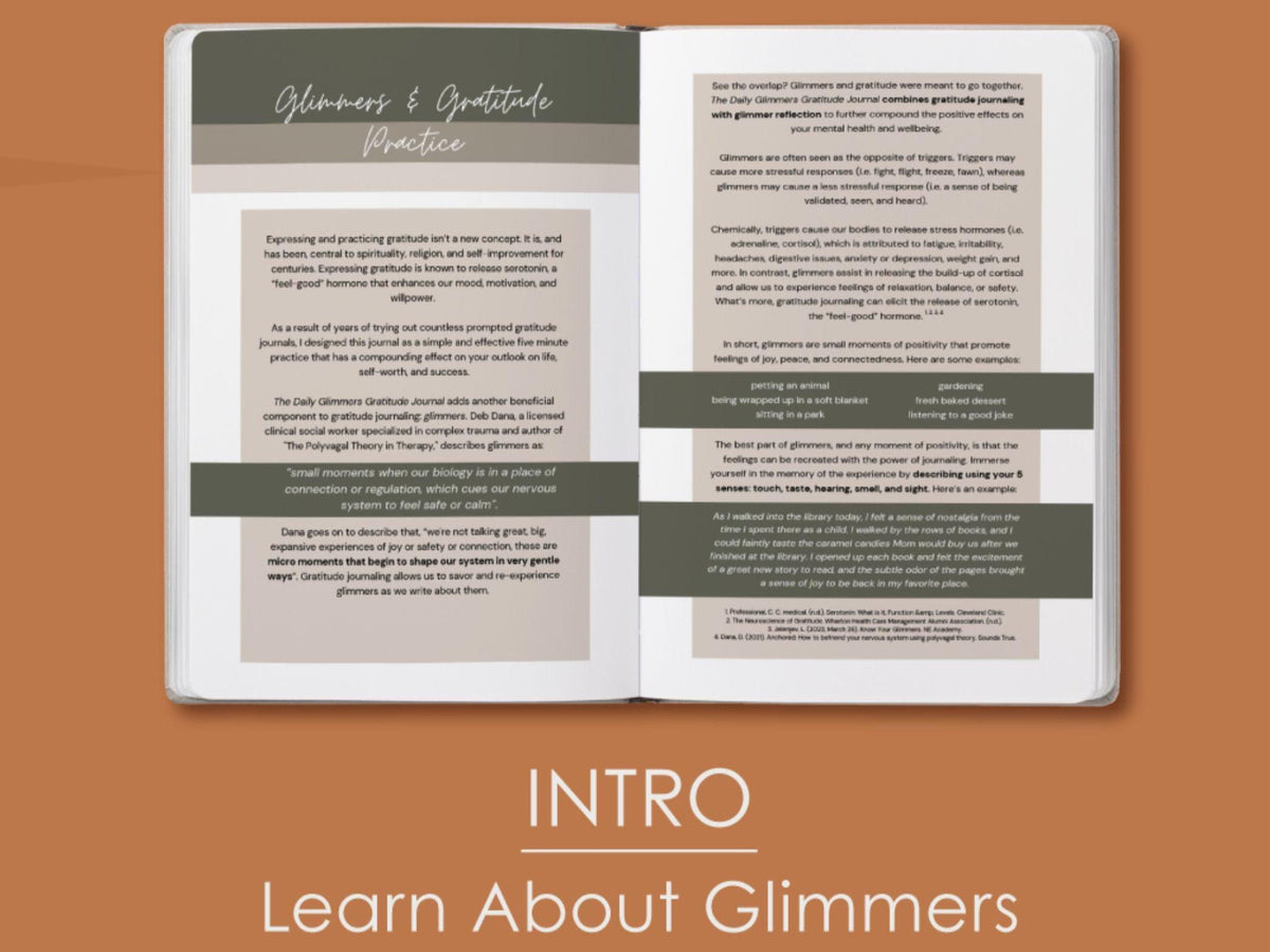 Daily Glimmers Gratitude Journal With Pen Gift Set